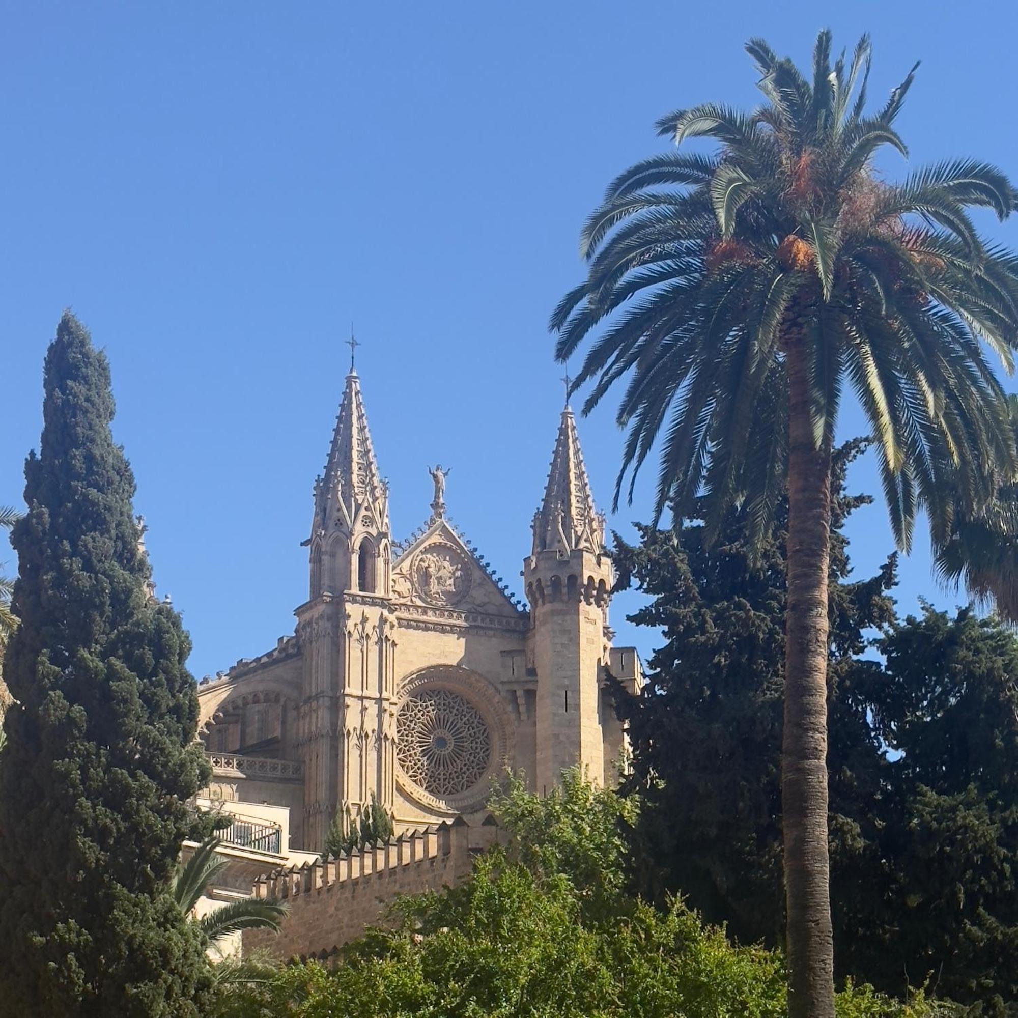 Bed & Breakfast Dog Admiral - Urban Palma de Mallorca