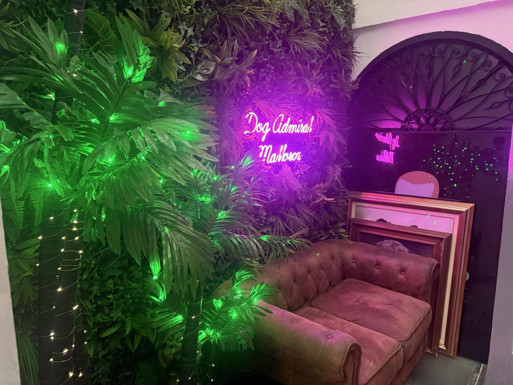 Dog Admiral - Urban Bed & Breakfast